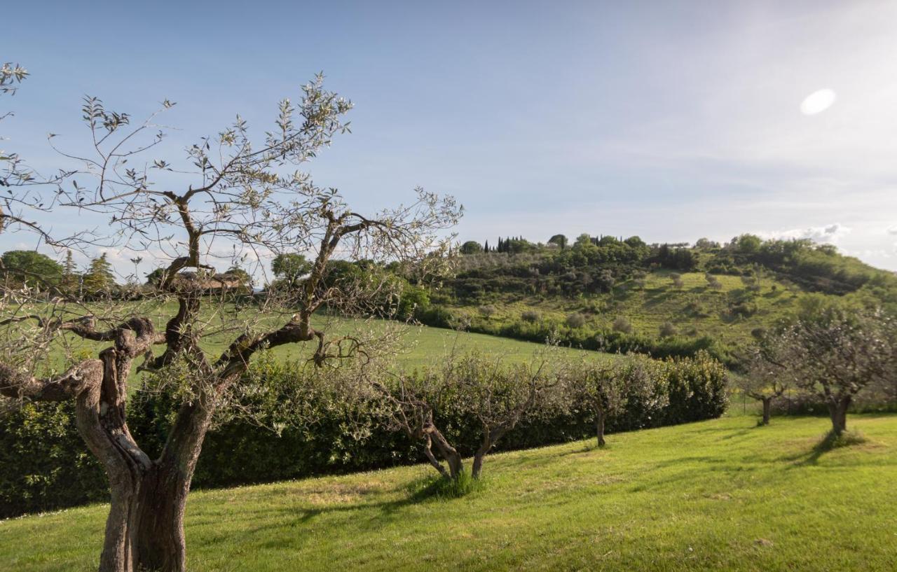 Residenza Il Falchetto Assisi Exteriör bild