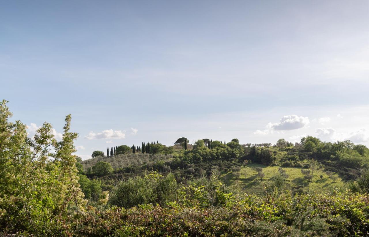 Residenza Il Falchetto Assisi Exteriör bild