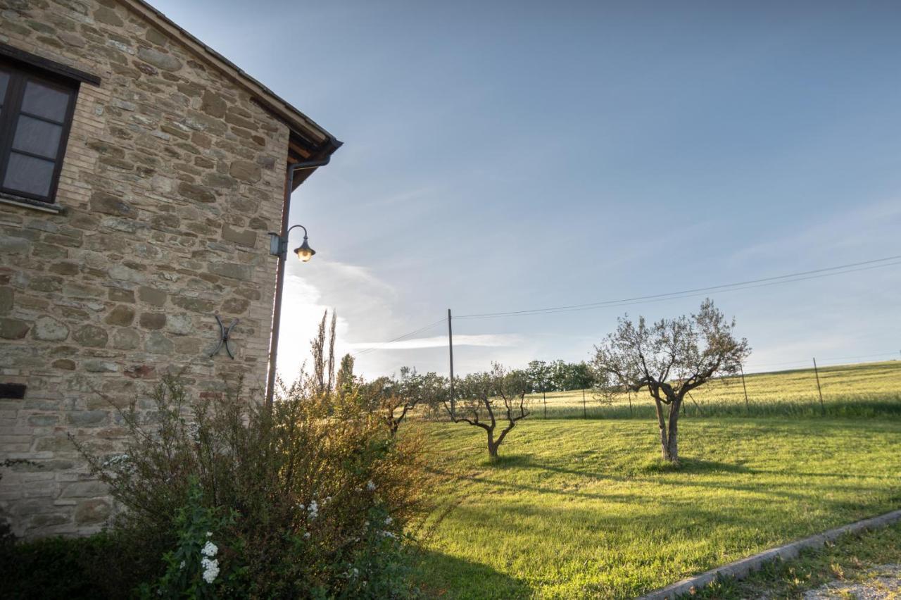 Residenza Il Falchetto Assisi Exteriör bild